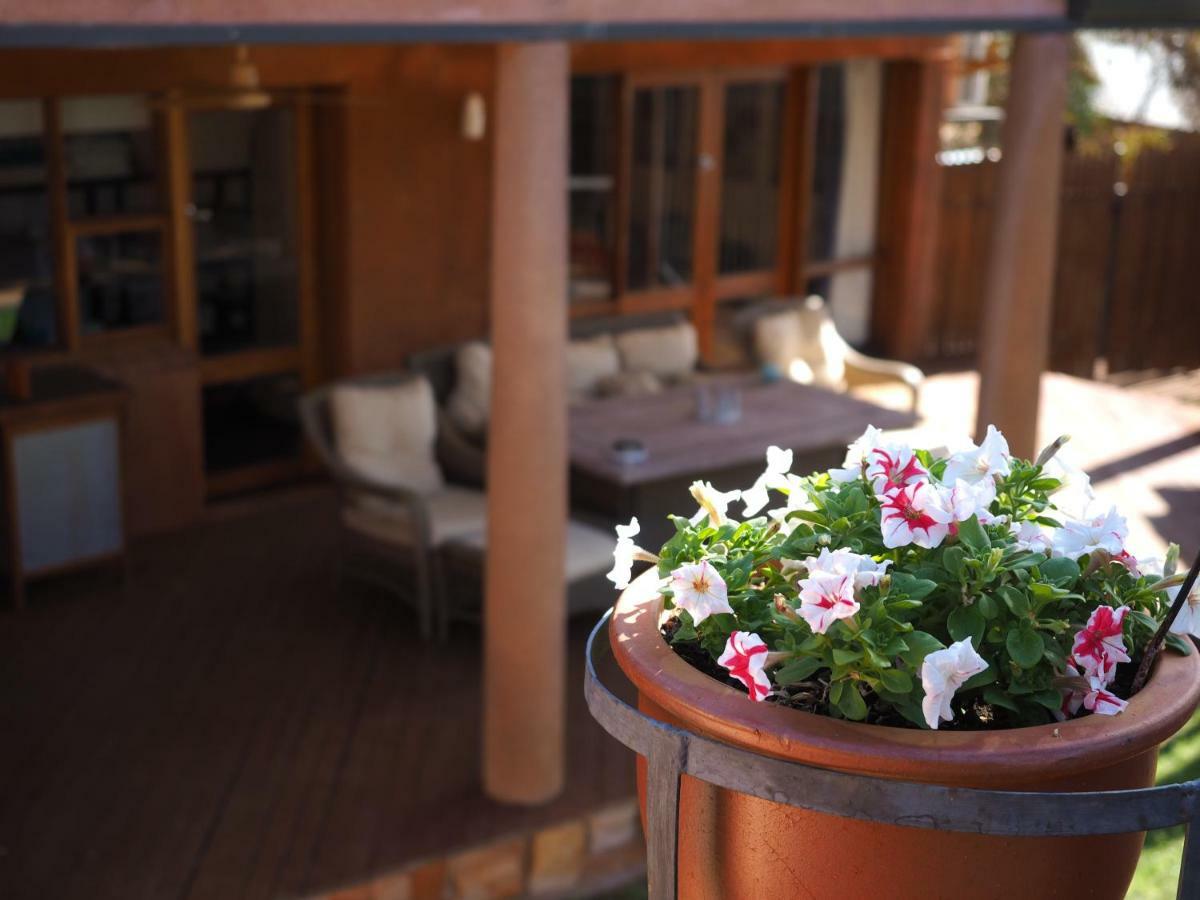 Wilmots On Dixon Bed & Breakfast Alice Springs Dış mekan fotoğraf